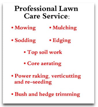 Professional Lawn Care Service in Blue Springs, Independence, and Lee's Summit.