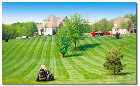 Rob's Lawn Mowing provides professional lawn care to the greater Kansas City area, including Independence, Blue Springs, and Lees Summit.